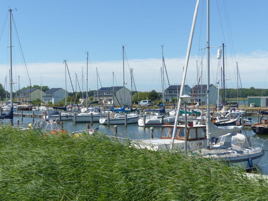 Wierhooft 21