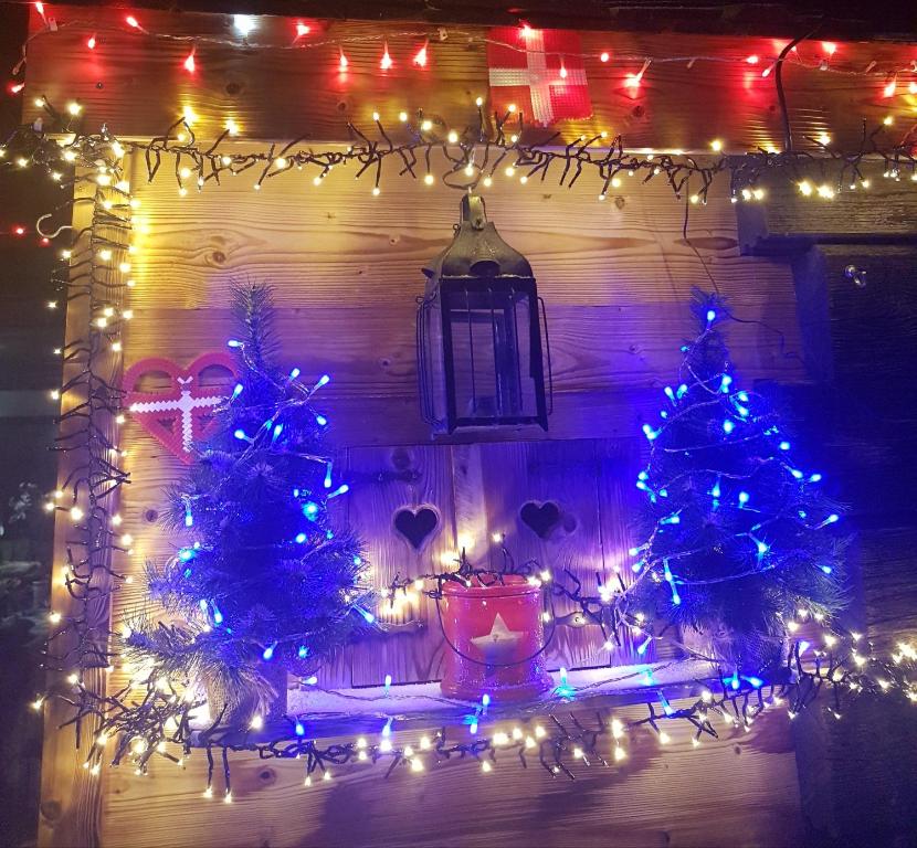APPARTEMENT COSY AUX SAISIES n1