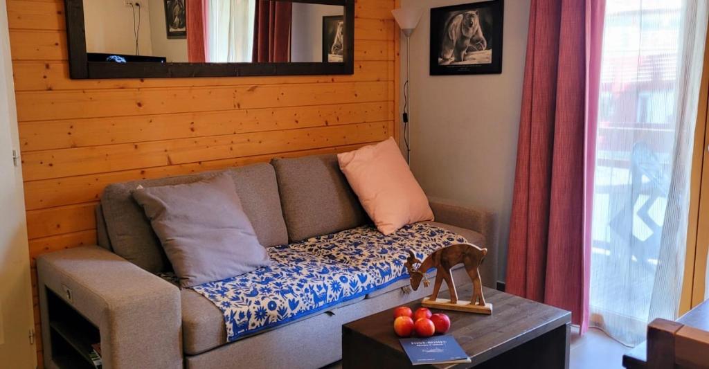 T2 pic de l’ours Fontromeu