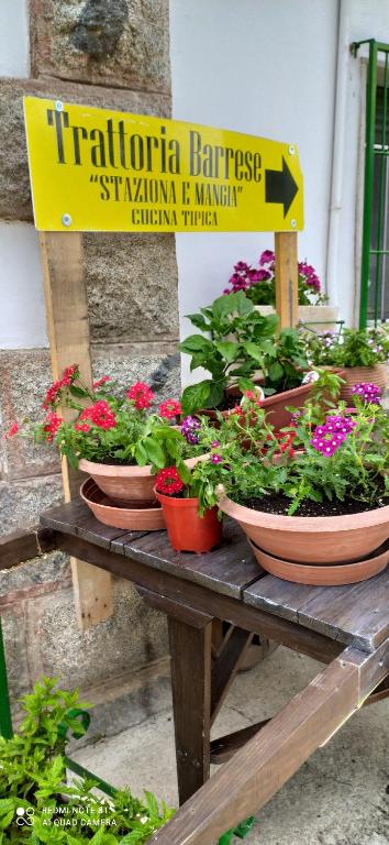 B&B Staziona e Dormi