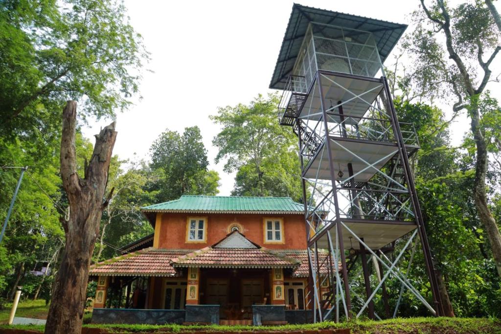 Cocooonroyale Mudhouse