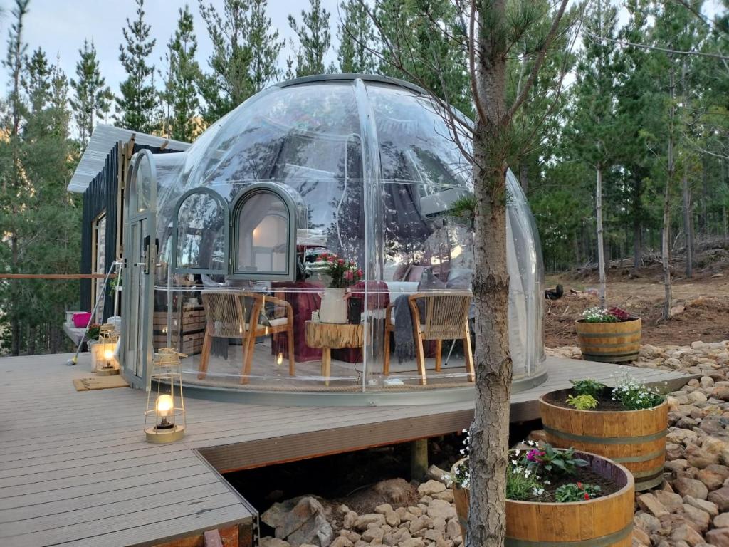 The Franschhoek Stargazing Dome