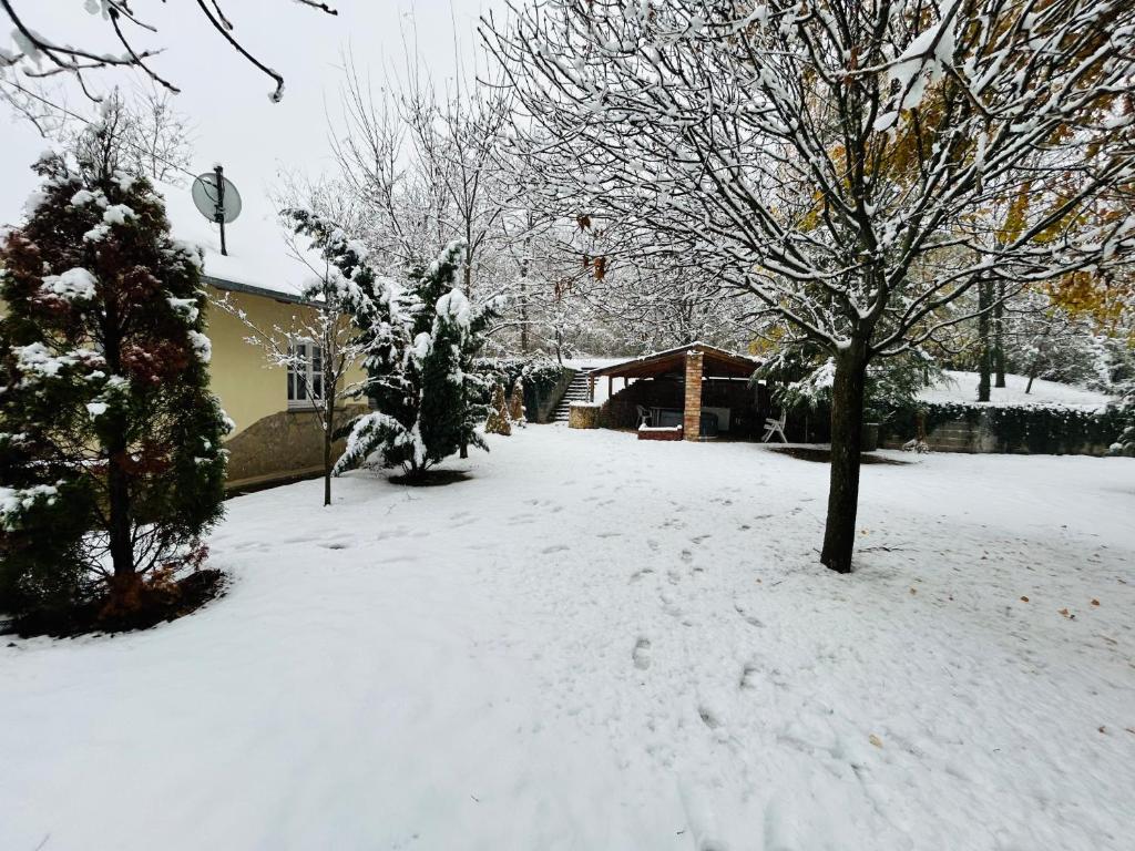 Töreki Cottage