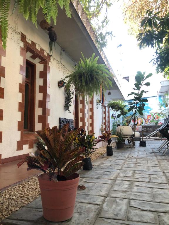 Hotel Boutique El Sueño del Coronel