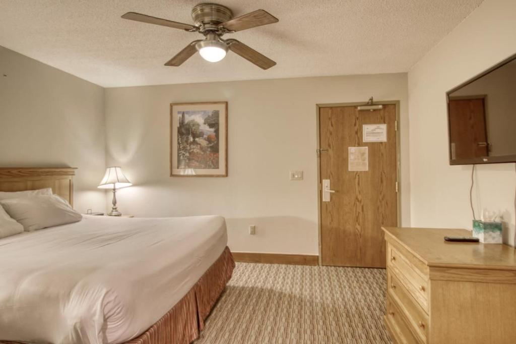 1bd 272 Perfect Location with Pool