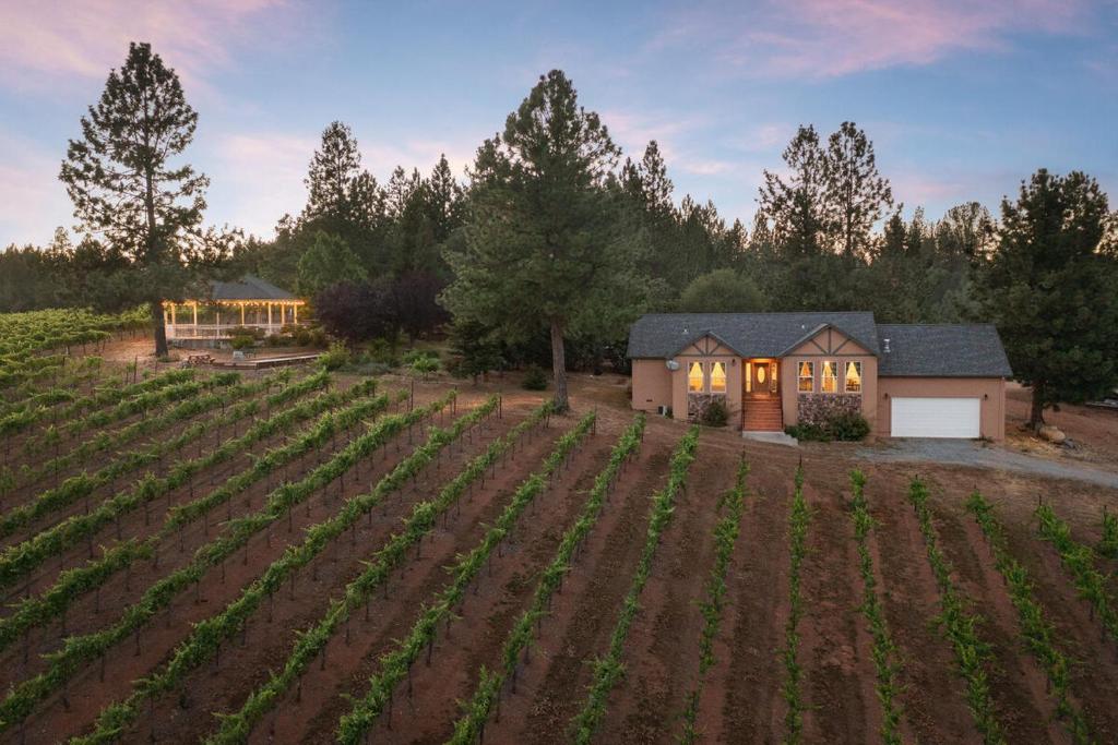 Vineyard Views 2BR House in Placerville, California