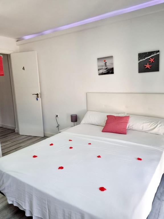 Apartamentos T5 Valencia