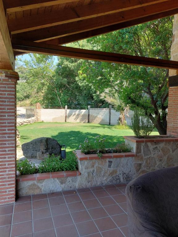 Higueras y Olivos