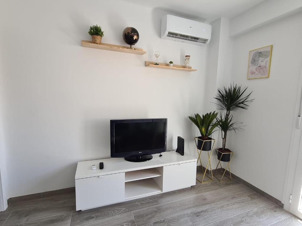 APARTAMENTOS COLON