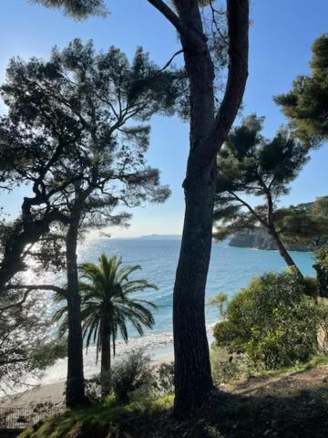 Exceptionnel studio vue mer refait à neuf