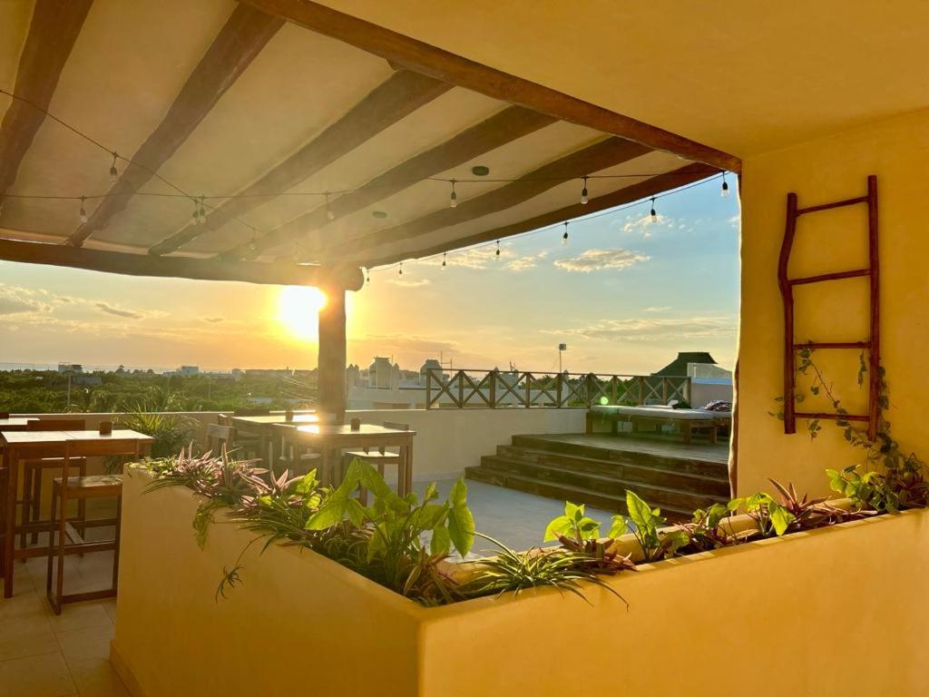 Sunsteps suite pyramids