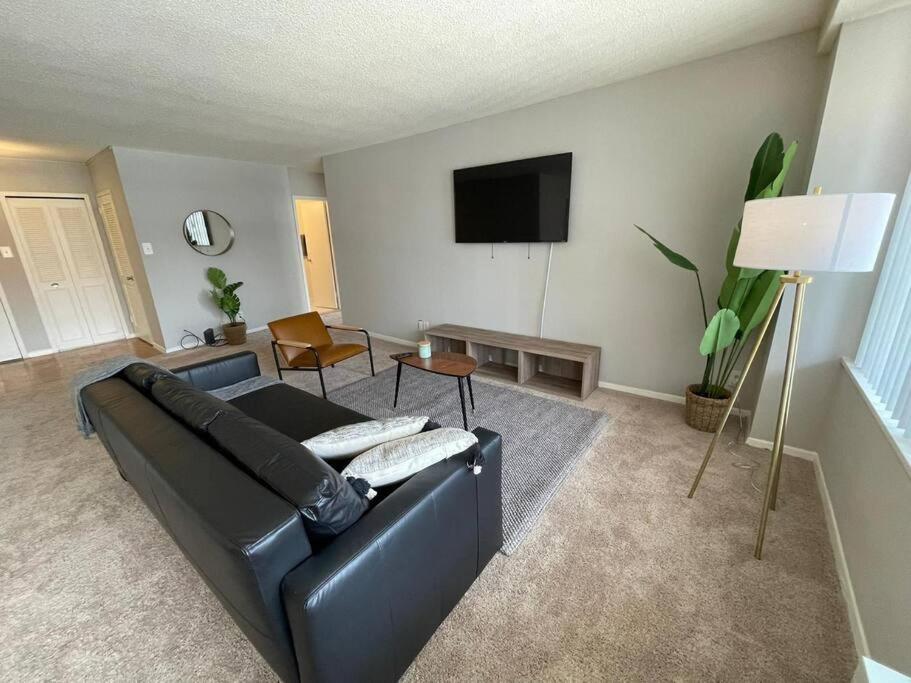 Trendy and Adaptable Accommodation in Crystal City