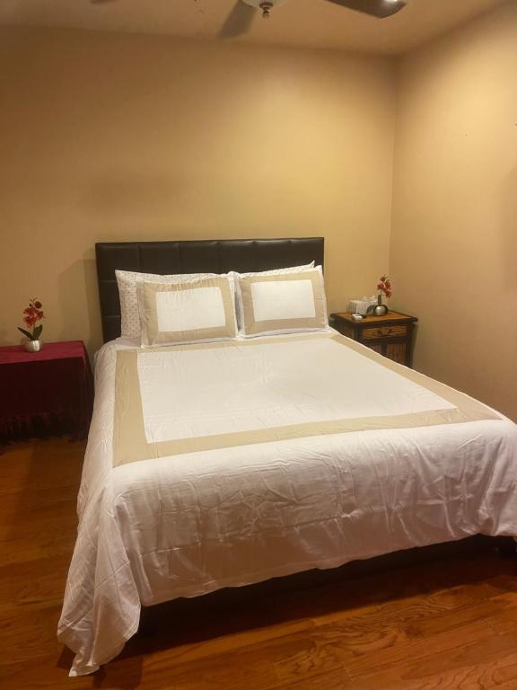 Serene 1 bedroom suite