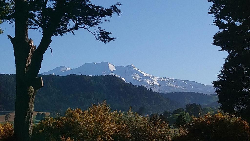 Two Rivers Ohakune
