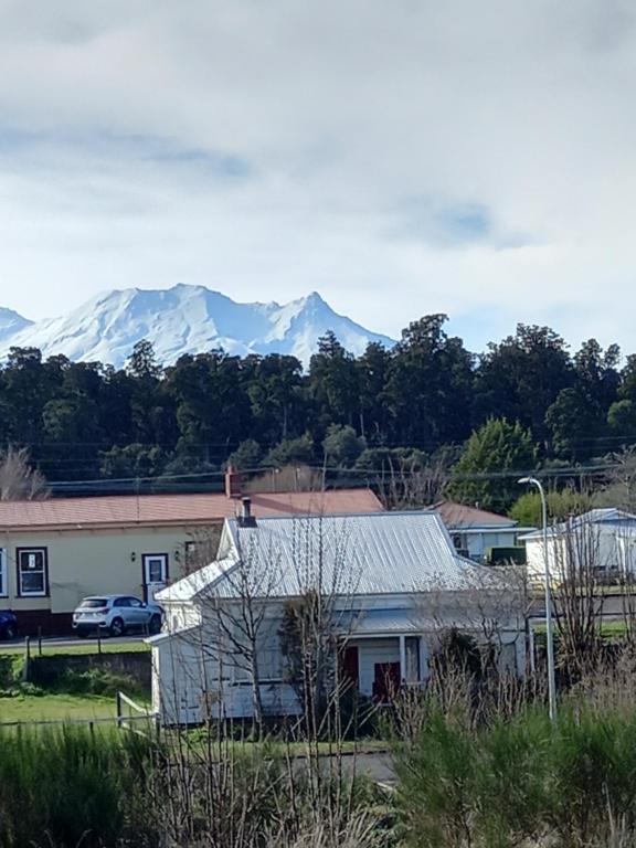 Rimu
