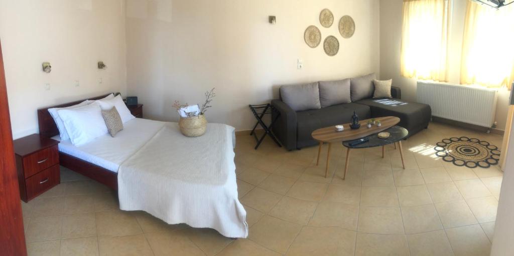Porto Nuovo Studio