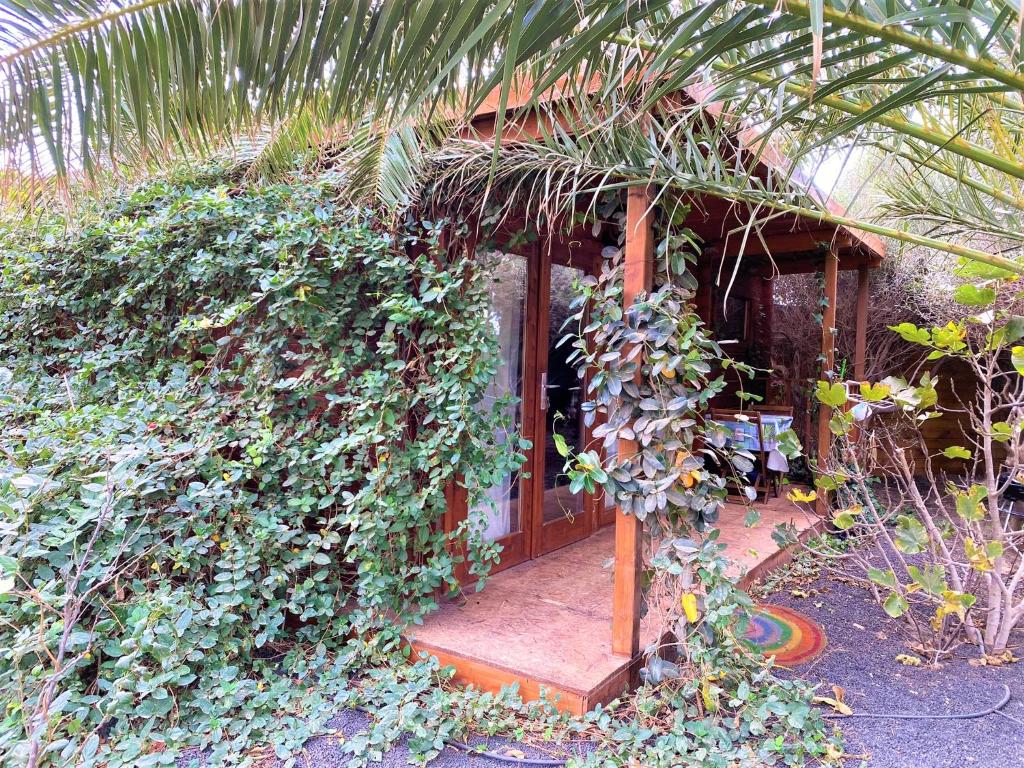 CabanaLanz, Cabañas en Lanzarote