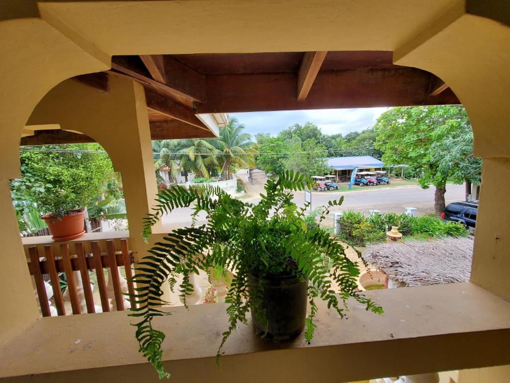 Caribbean Shores Belize