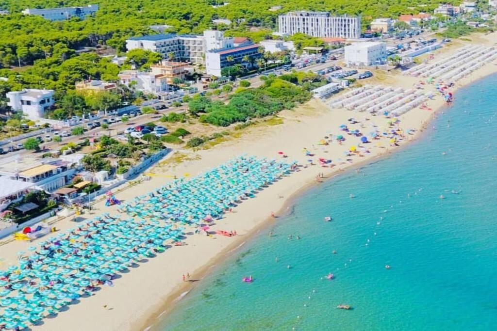 VILLA ZOND - a pochi passi dal mare bandiera blu