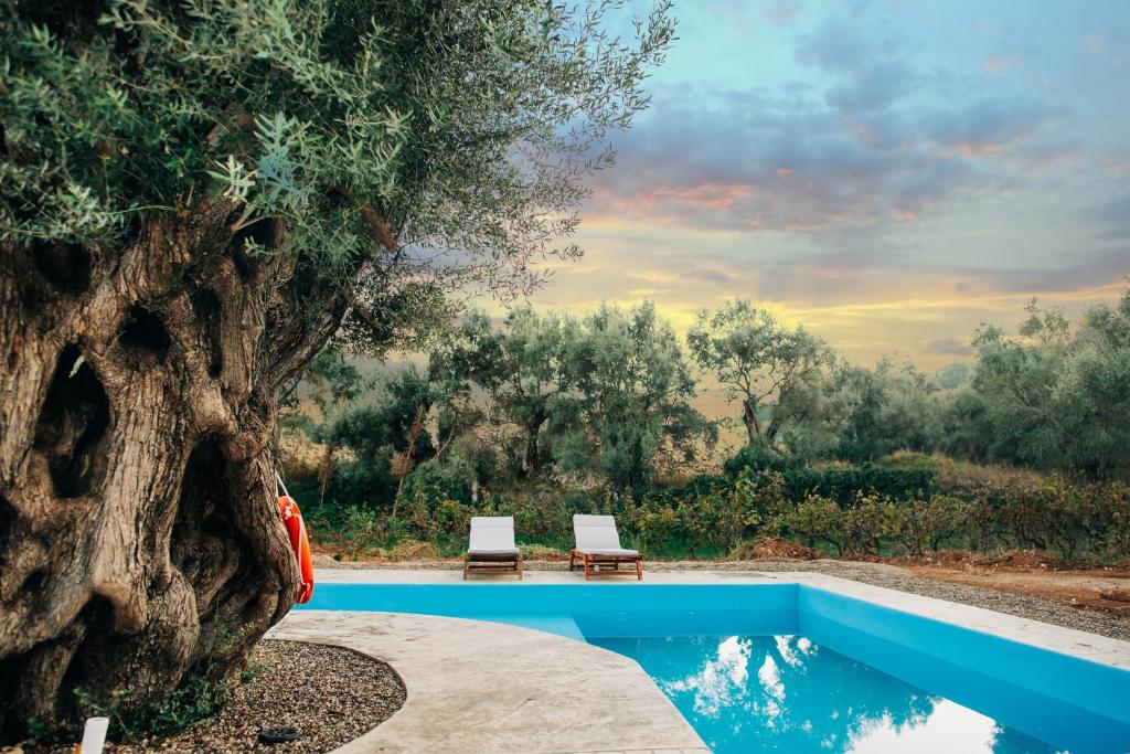 Villa di Vino