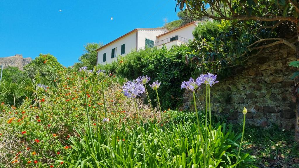 Villa Podere I Cavalieri