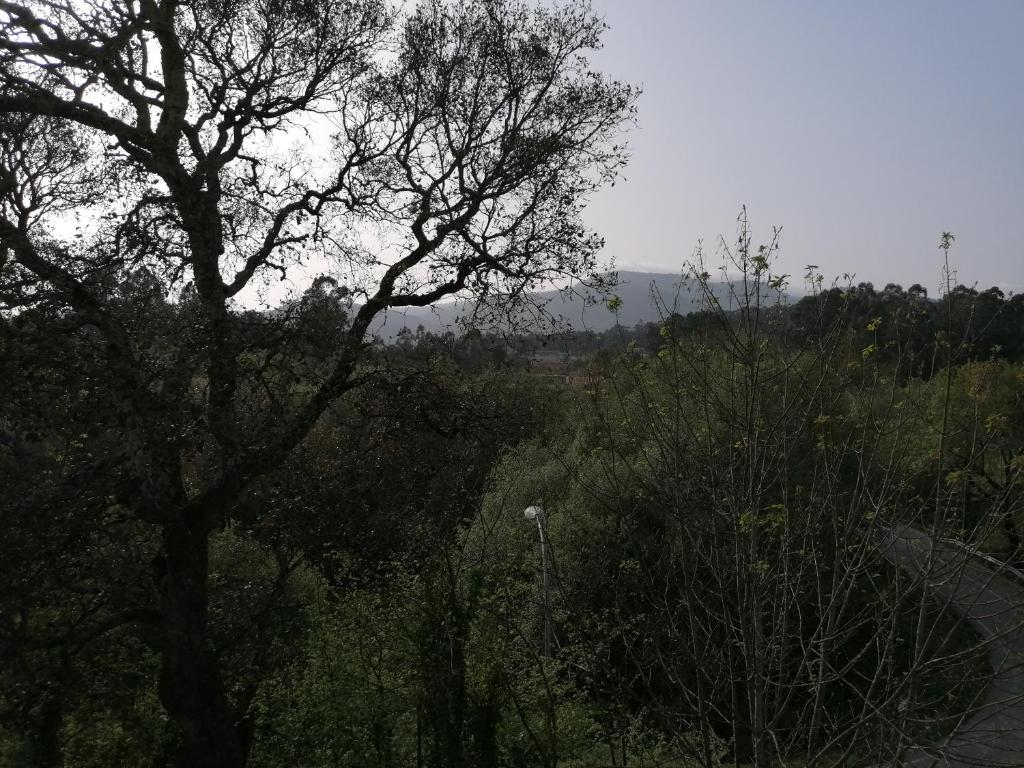 Casa Ribe