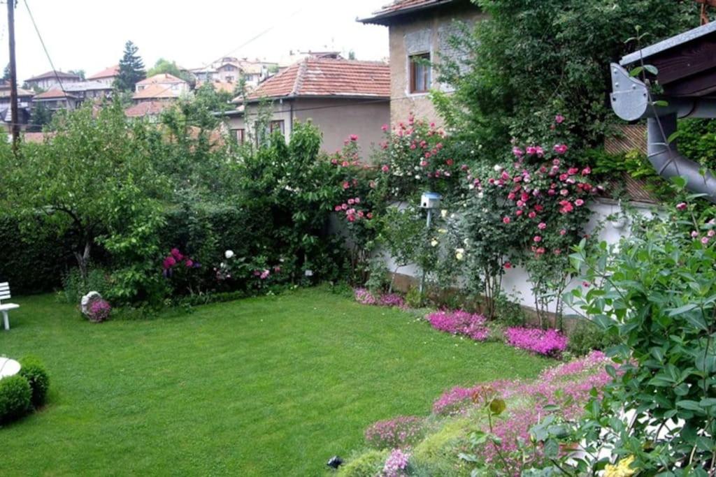 Downtown House with garden