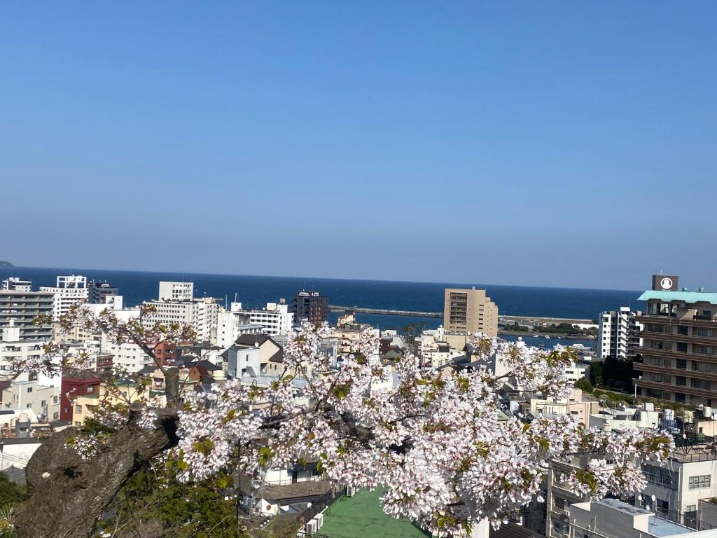 ヴィラマーレ熱海(Villa Mare Atami)