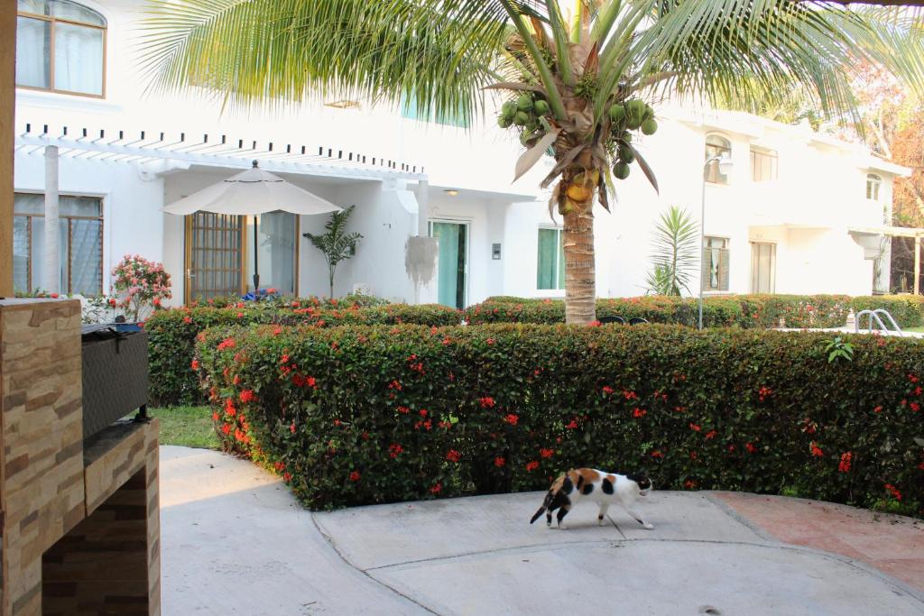 Casa con alberca en Club Santiago Manzanillo