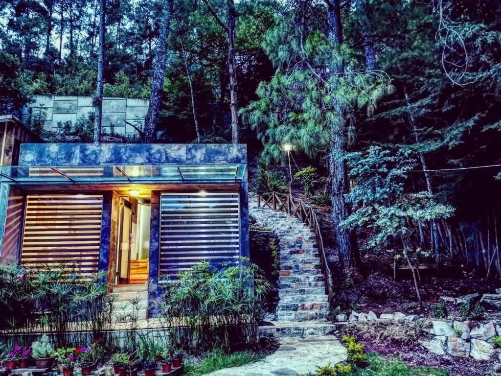 Loft37 - Íntimo / Inmerso en la naturaleza