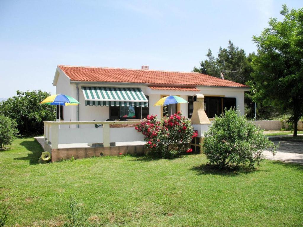 Joso Dalmatia