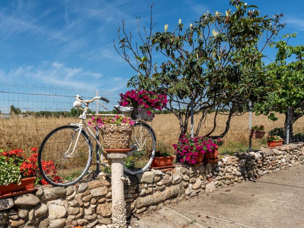 Angelo's Country House