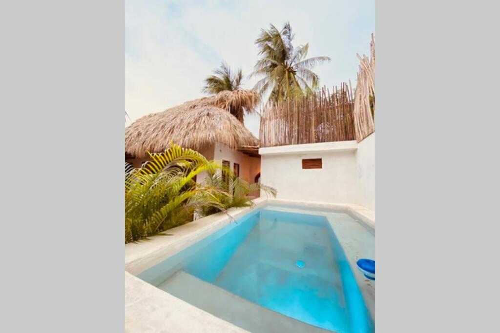 Casa Coconut