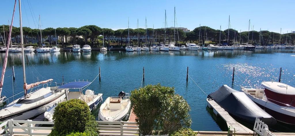 Marina Lairan vue sur l'eau et les Bateaux de Port Camargue