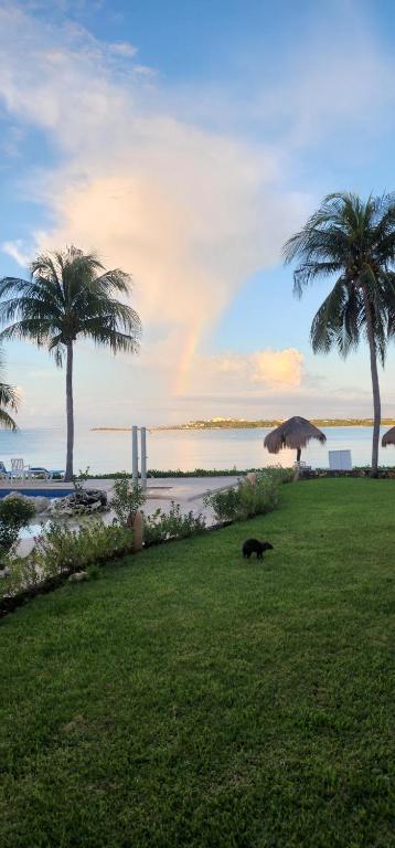2 bedroom 2.5 bathroom beach front condo