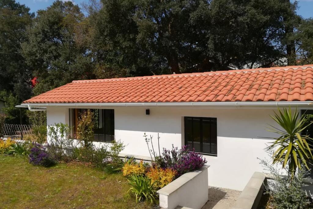 L'annexe des Cigales, à l'ombre des chênes lièges