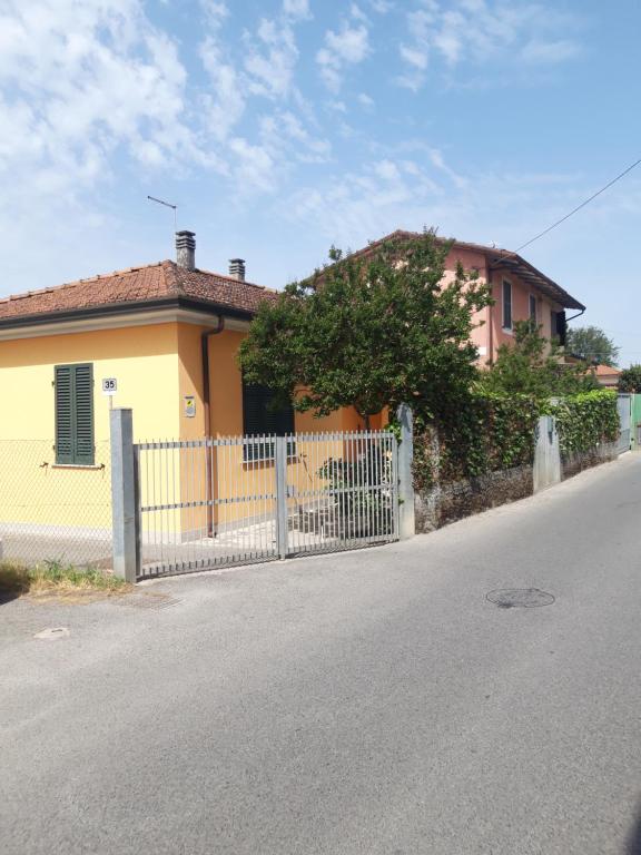House & Garden