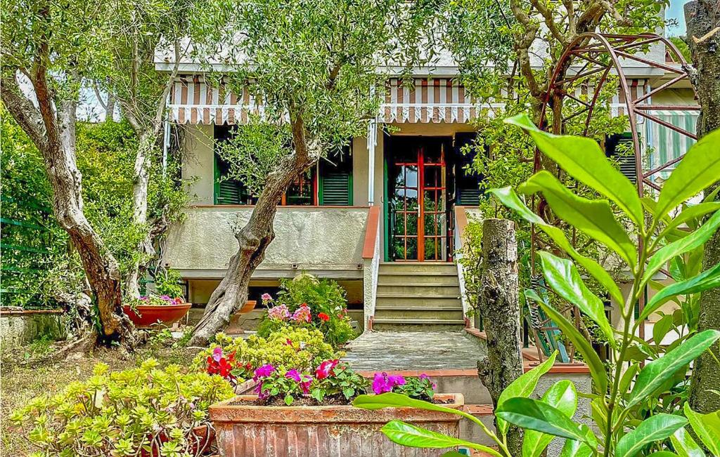 Nice Home In Castiglioncello With 2 Bedrooms And Wifi