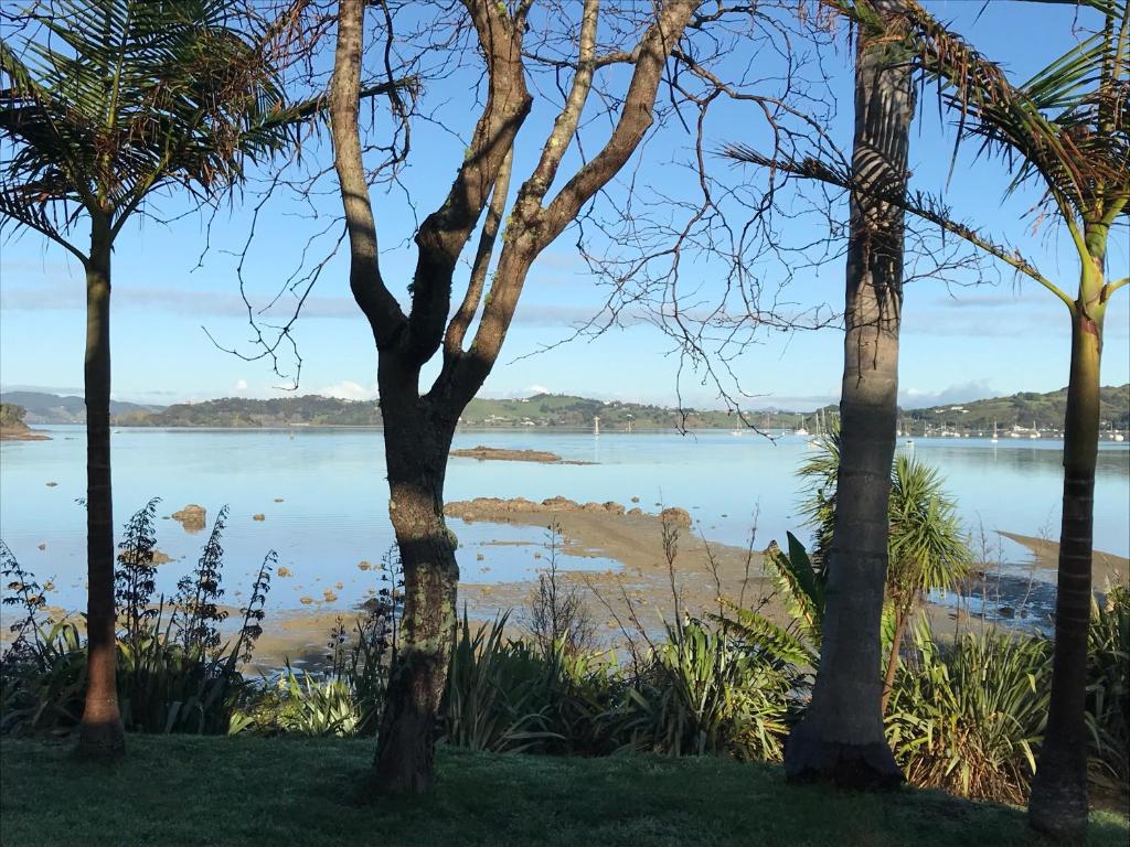 Tui's Song Bach on the Bay