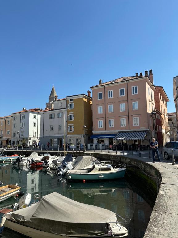 Muggia Studio 2