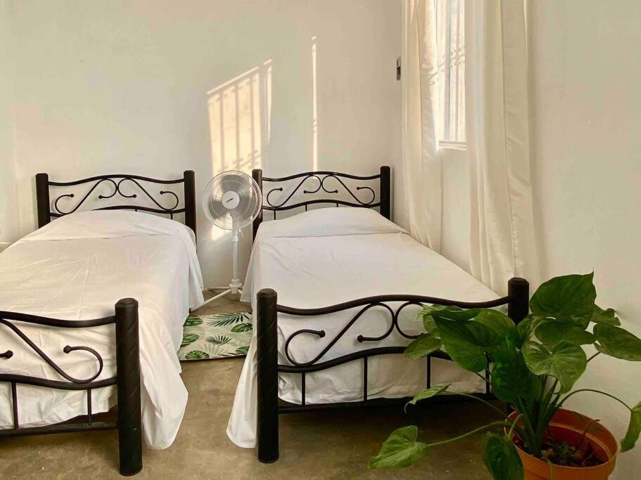 La casita de Moni