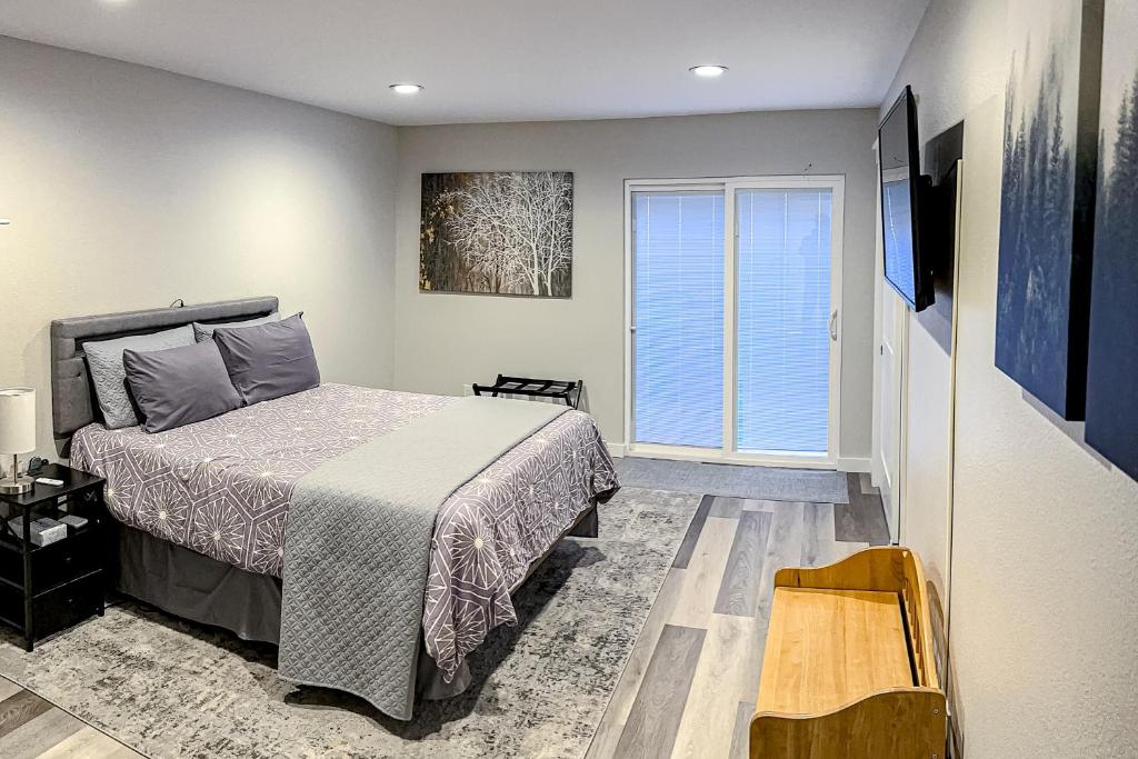 Modern Comfortable Oasis
