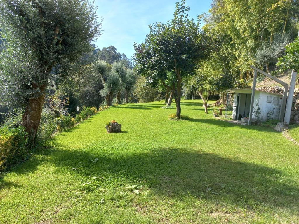 Quinta do ribeiro
