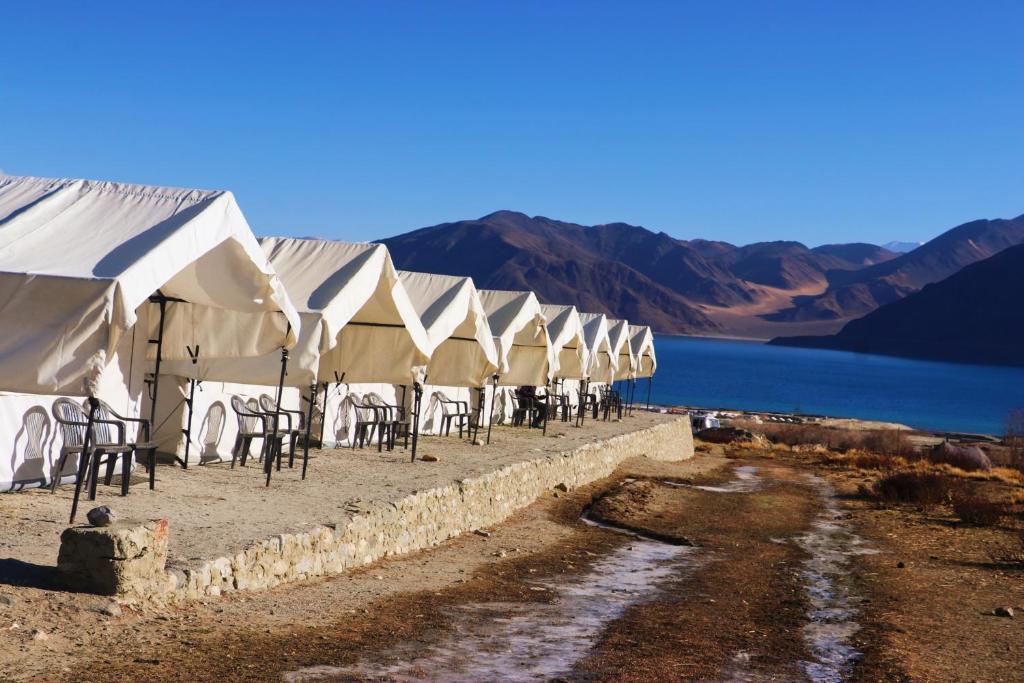 Camp redstart