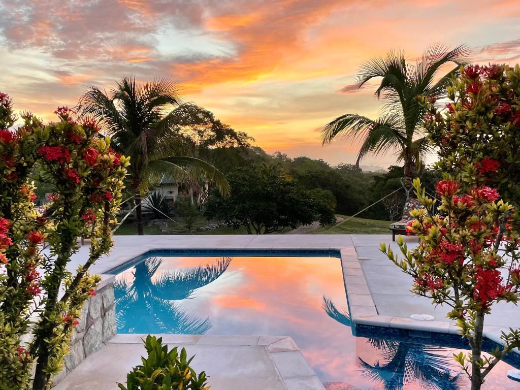 Gumbo Limbo Jungle Resort