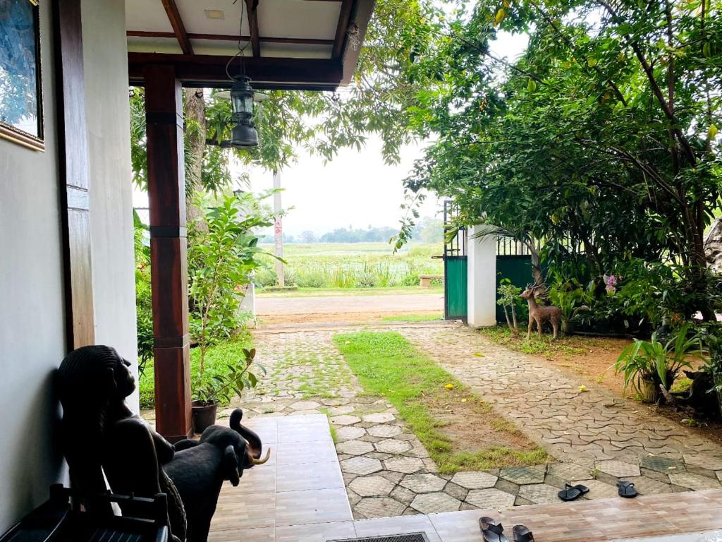 Cormorant Lake Resort