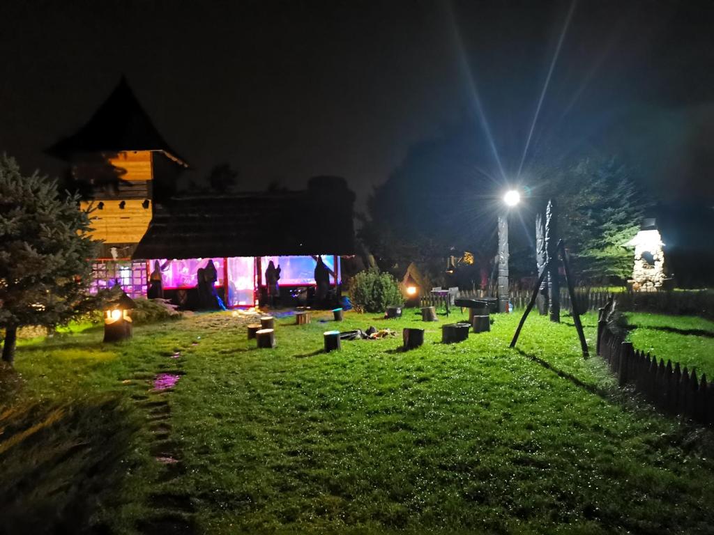 Gród Pędzików