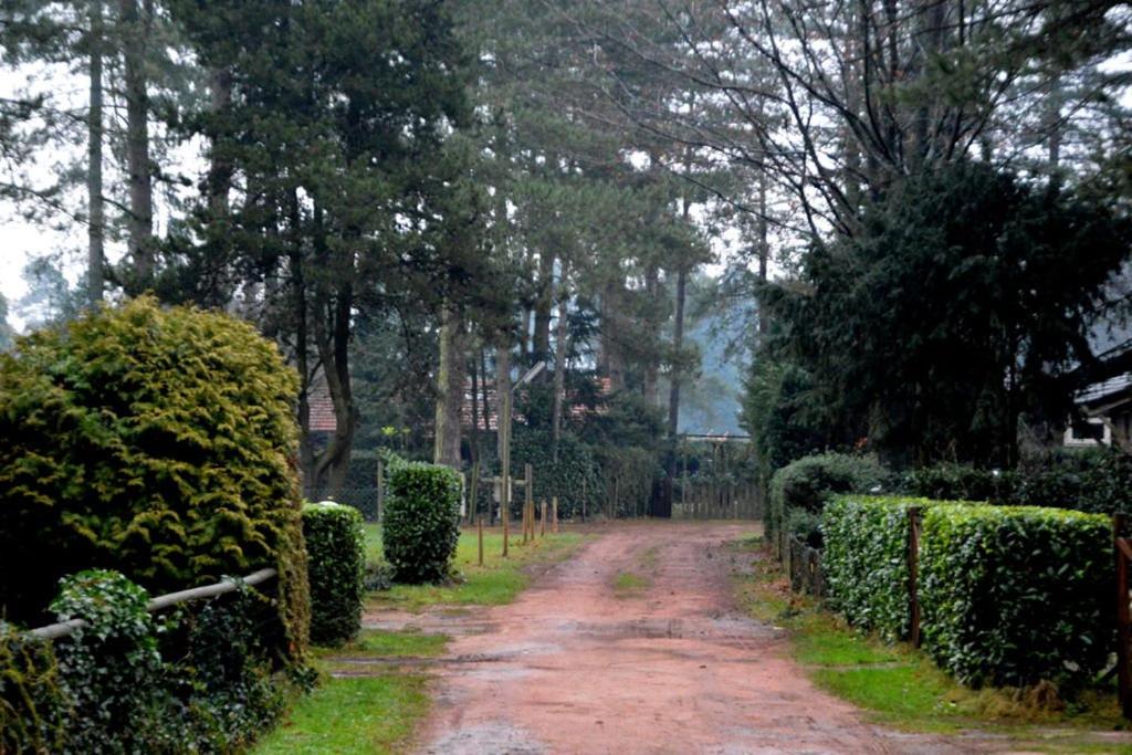 Luxe vakantiehuis in het bos